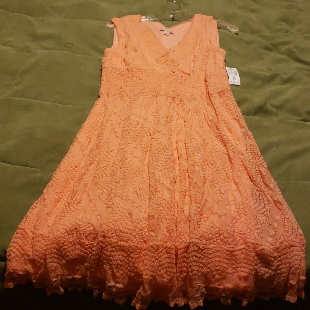 Dressbarn dress